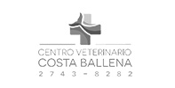 Centro Ballena